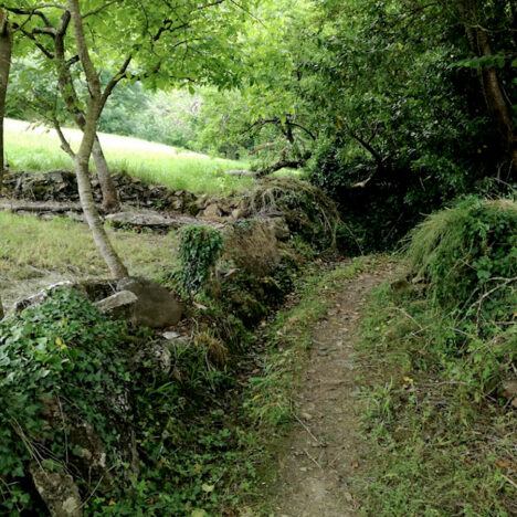 Oviedo to Paladín: Camino Primitivo, Day 1 June 8, 2021