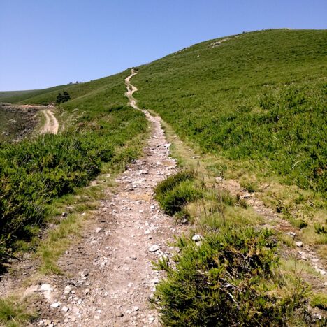 Hospitales to Berducedo: Camino Primitivo Day 8, June 15, 2021